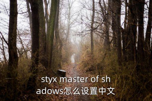 styx master of shadows怎么设置中文