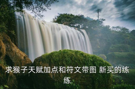 求猴子天赋加点和符文带图 新买的练练
