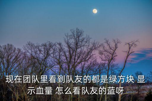 现在团队里看到队友的都是绿方块 显示血量 怎么看队友的蓝呀