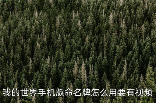 我的世界手机版命名牌怎么用要有视频