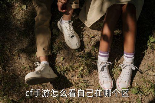 cf手游怎么看自己在哪个区