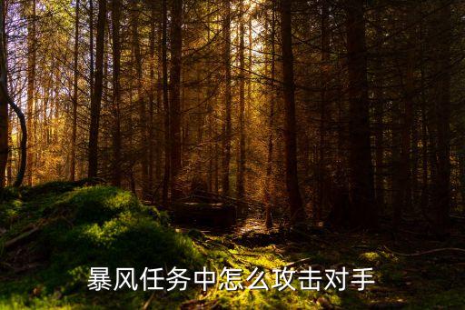 暴风任务中怎么攻击对手