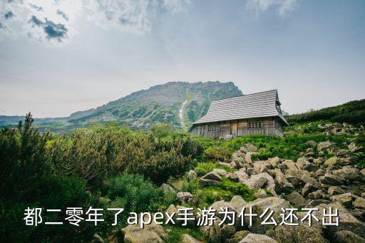 apex手游怎么准备不了，进游戏怎么不自动准备