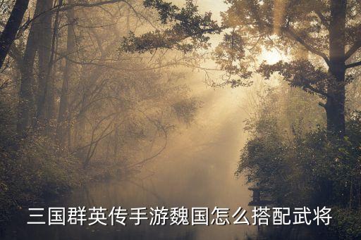 三国群英传手游魏国怎么搭配武将
