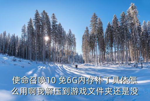 使命召唤10 免6G内存补丁具体怎么用啊我解压到游戏文件夹还是没