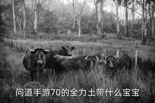 问道手游70的全力土带什么宝宝