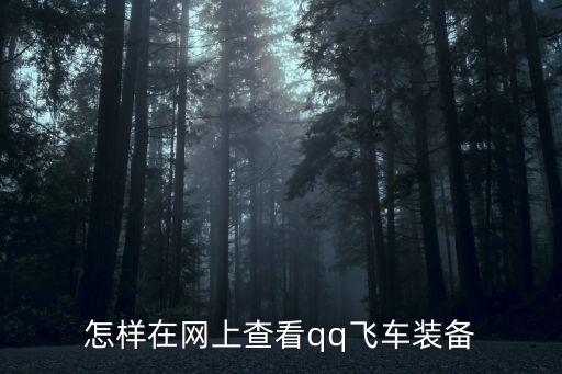 怎样在网上查看qq飞车装备