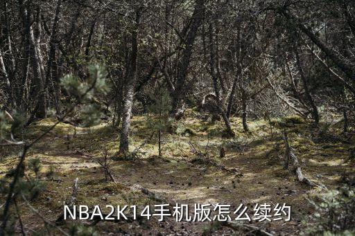 NBA2K14手机版怎么续约