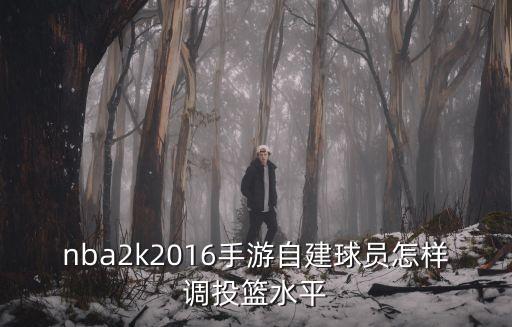 nba2k2016手游自建球员怎样调投篮水平