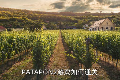 PATAPON2游戏如何通关