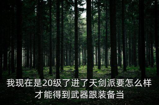 我现在是20级了进了天剑派要怎么样才能得到武器跟装备当