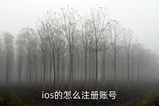 手游云顶ios怎么注册，苹果怎么下云顶之栾