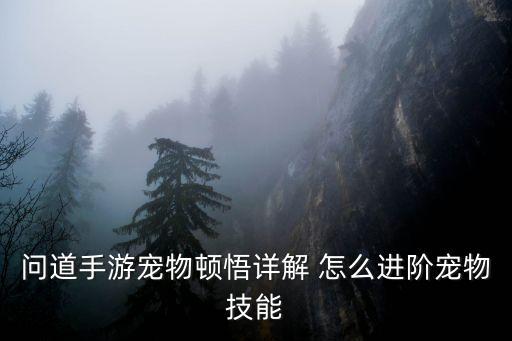 问道手游宠物顿悟详解 怎么进阶宠物技能
