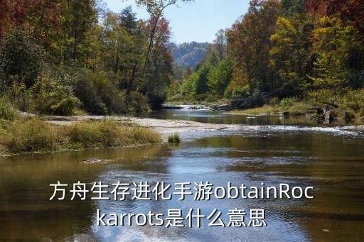 方舟生存进化手游obtainRockarrots是什么意思