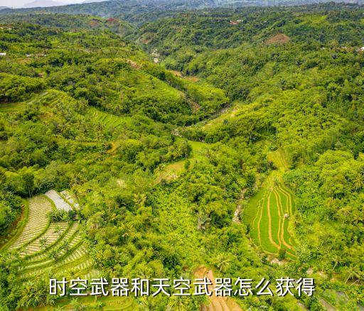 时空武器和天空武器怎么获得