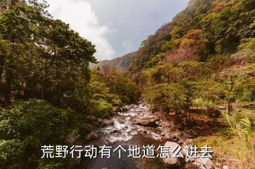 荒野行动联动银魂手游怎么进去，华为手机怎么进荒野行动国际服