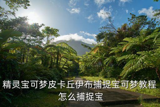 精灵宝可梦皮卡丘伊布捕捉宝可梦教程 怎么捕捉宝