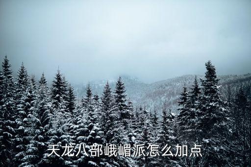 天龙八部峨嵋派怎么加点