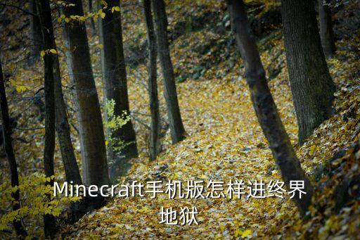 Minecraft手机版怎样进终界地狱