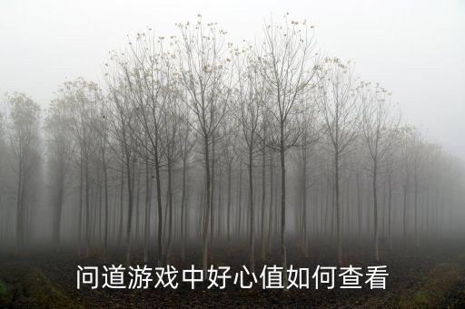 问道游戏中好心值如何查看