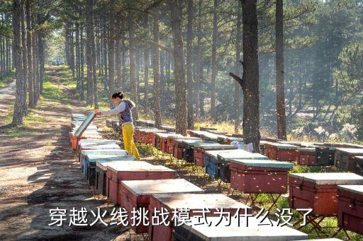 穿越火线挑战模式为什么没了