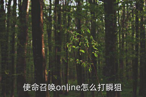 使命召唤online怎么打瞬狙