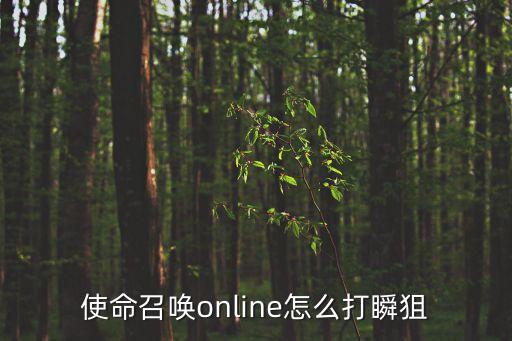 使命召唤online怎么打瞬狙