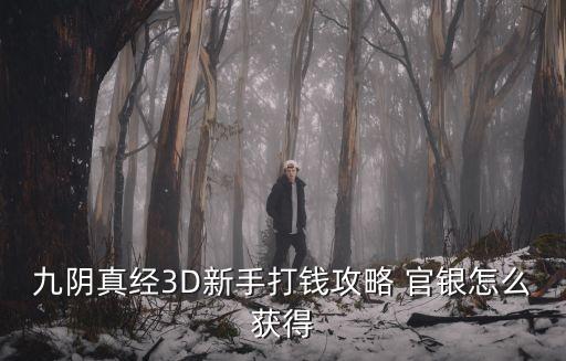 九阴真经3d手游怎么搬砖，九阴真经3D新手打钱攻略 官银怎么获得