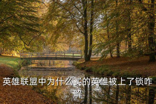英雄联盟中为什么买的英雄被上了锁咋解