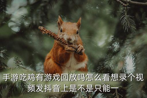 手游吃鸡有游戏回放吗怎么看想录个视频发抖音上是不是只能一