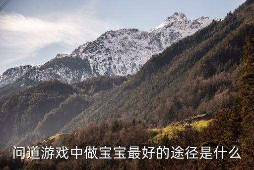 问道游戏中做宝宝最好的途径是什么