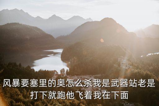 风暴要塞里的奥怎么杀我是武器站老是打下就跑他飞着我在下面
