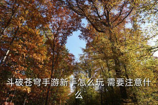 斗破苍穹手游新手怎么玩 需要注意什么