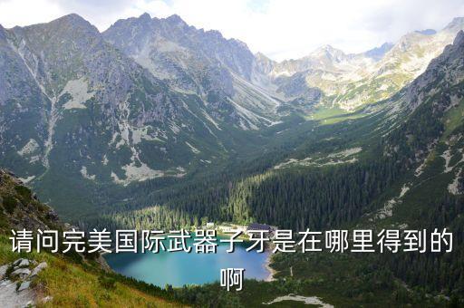 请问完美国际武器子牙是在哪里得到的啊
