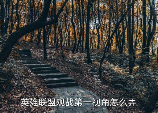 英雄联盟观战第一视角怎么弄
