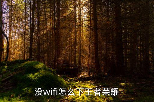 没wifi怎么下王者荣耀