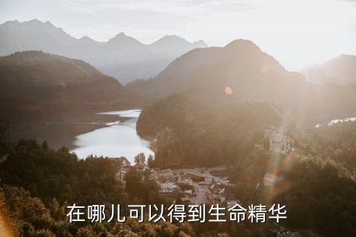 在哪儿可以得到生命精华