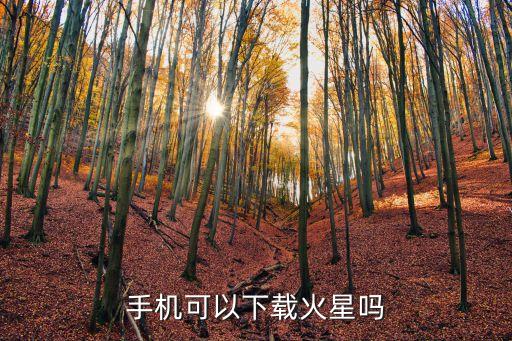 手机可以下载火星吗