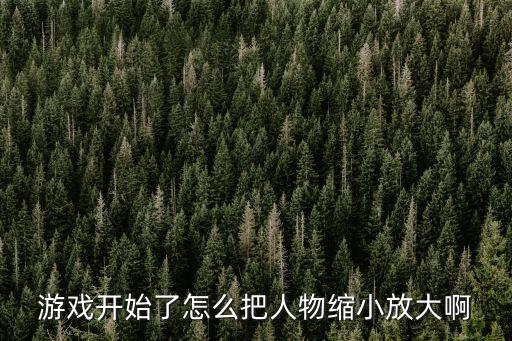 游戏开始了怎么把人物缩小放大啊