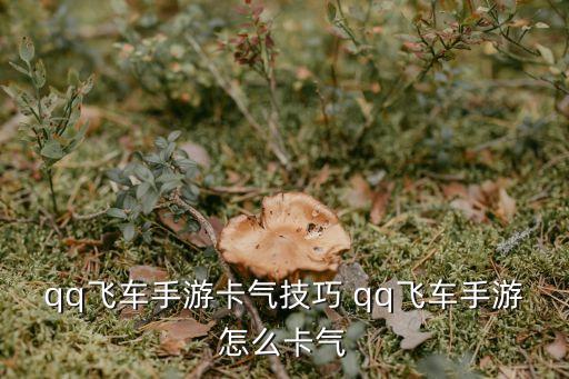 qq飞车手游卡气技巧 qq飞车手游怎么卡气