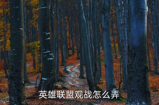 手游英雄联盟怎么开启观战，掌上英雄联盟怎么观战 掌上英雄联盟可以观战吗