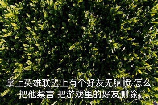 掌上英雄联盟上有个好友无脑喷 怎么把他禁言 把游戏里的好友删除