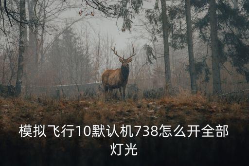 模拟飞行10默认机738怎么开全部灯光