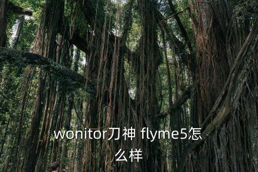 wonitor刀神 flyme5怎么样