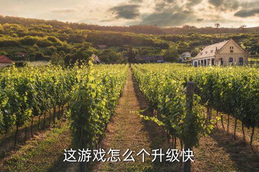 这游戏怎么个升级快