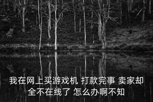 我在网上买游戏机 打款完事 卖家却全不在线了 怎么办啊不知