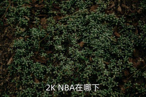 2K NBA在哪下