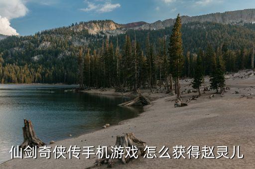 仙剑奇侠传手机游戏 怎么获得赵灵儿