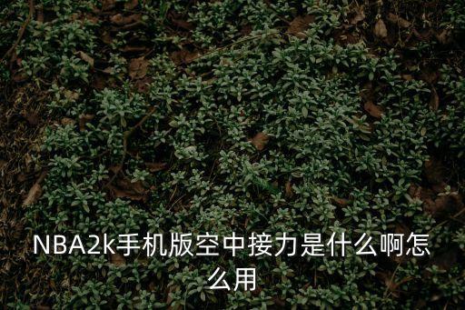 NBA2k手机版空中接力是什么啊怎么用