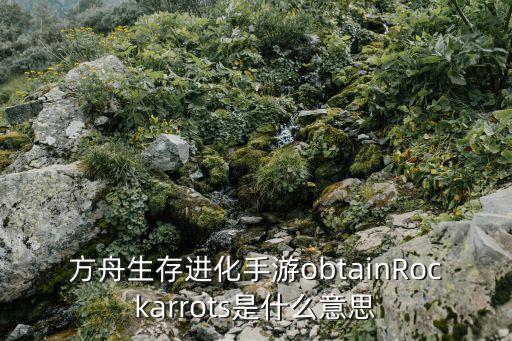 方舟生存进化手游obtainRockarrots是什么意思